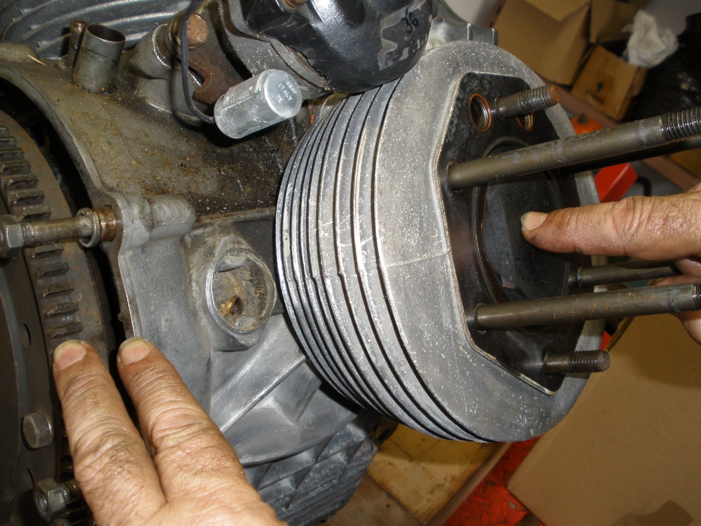 P5290336 (Copiar)