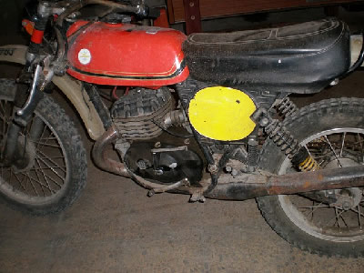 enduro viru1