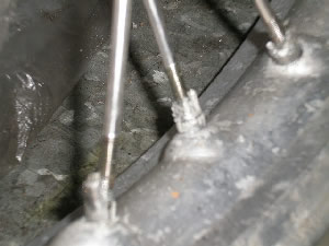 enduroviru24